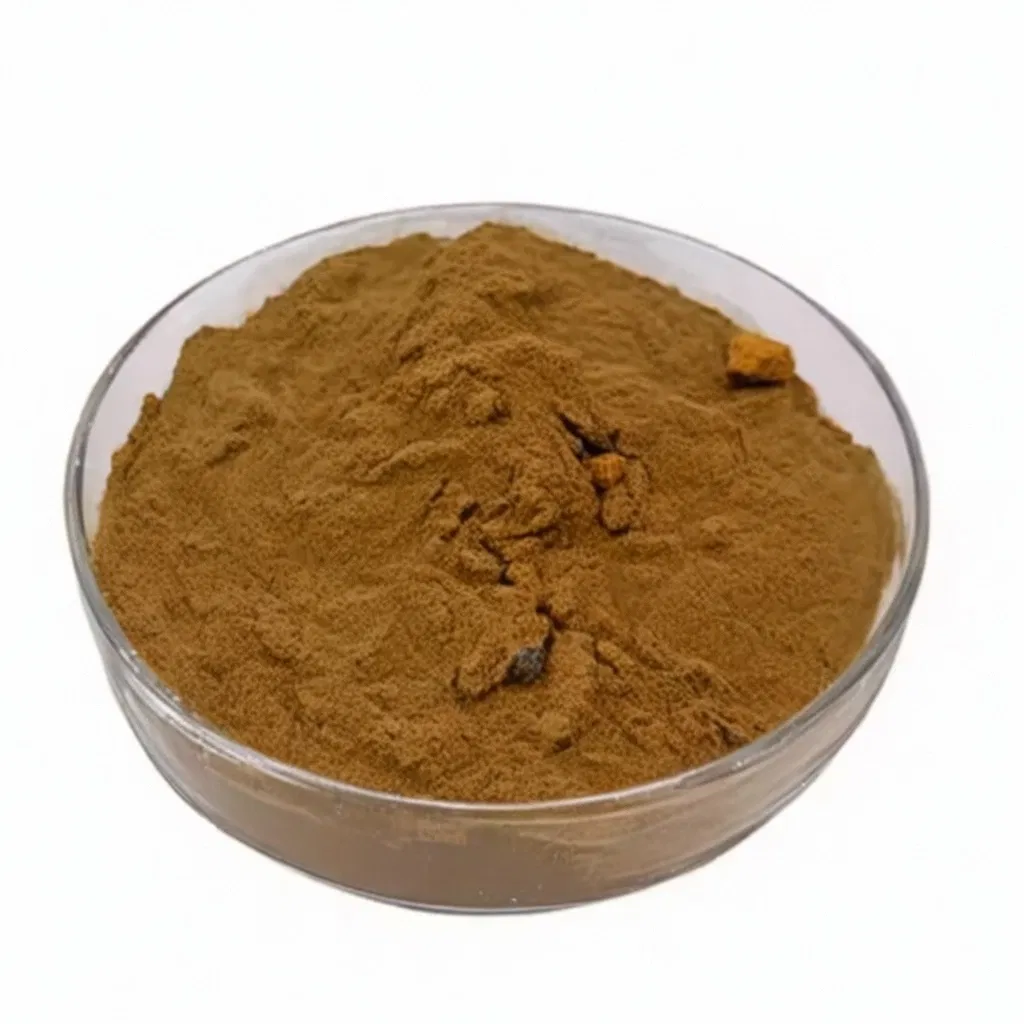 100% Polvo de hongo Chaga natural, polvo de extracto de hongo para uso en alimentos, bebidas y nutracéuticos