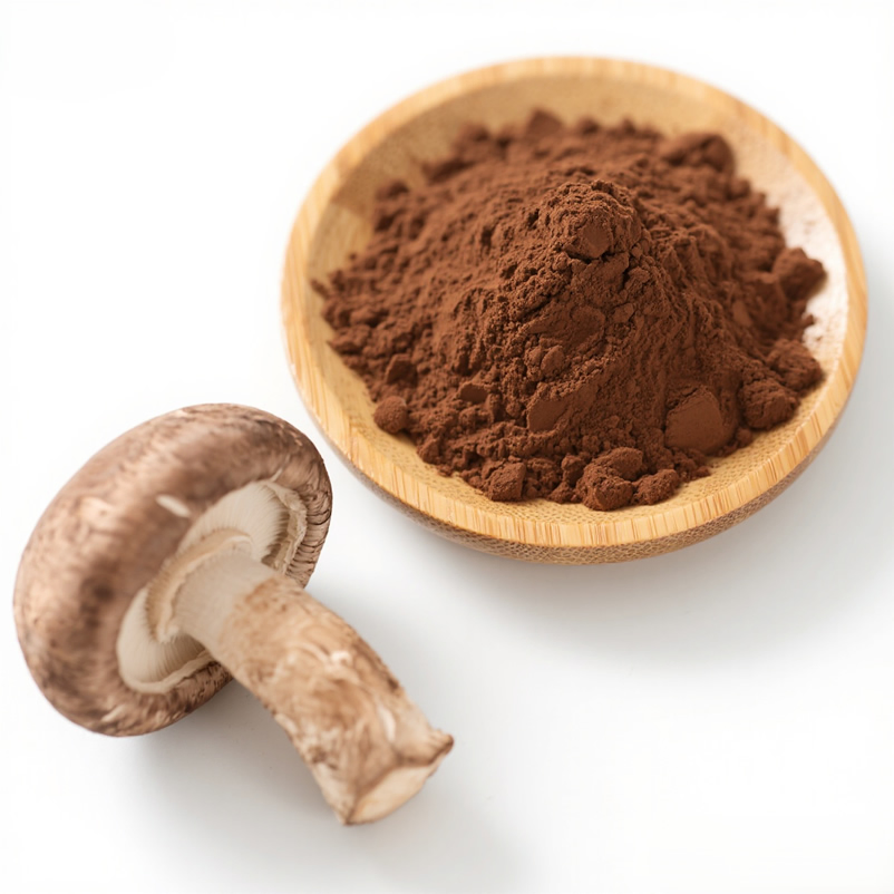 Extracto de hongo shitake natural en polvo de polisacáridos soluble en agua 100%