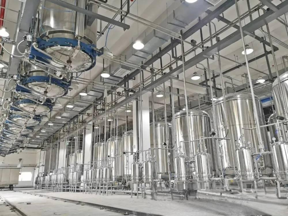 Pequeña línea de producción de extracción de péptidos de proteína de suero en polvo