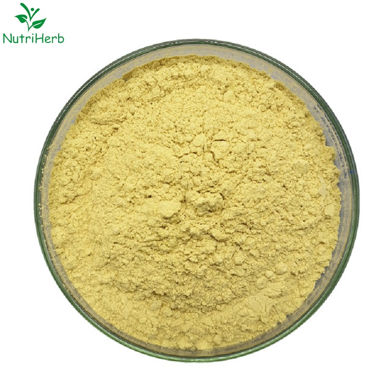 Suplemento de Salud de Suministro a Granel CAS 125-46-2 Extracto Natural de Liquen 98% Ácido Usnico Polvo de Extracto Herbal de Planta