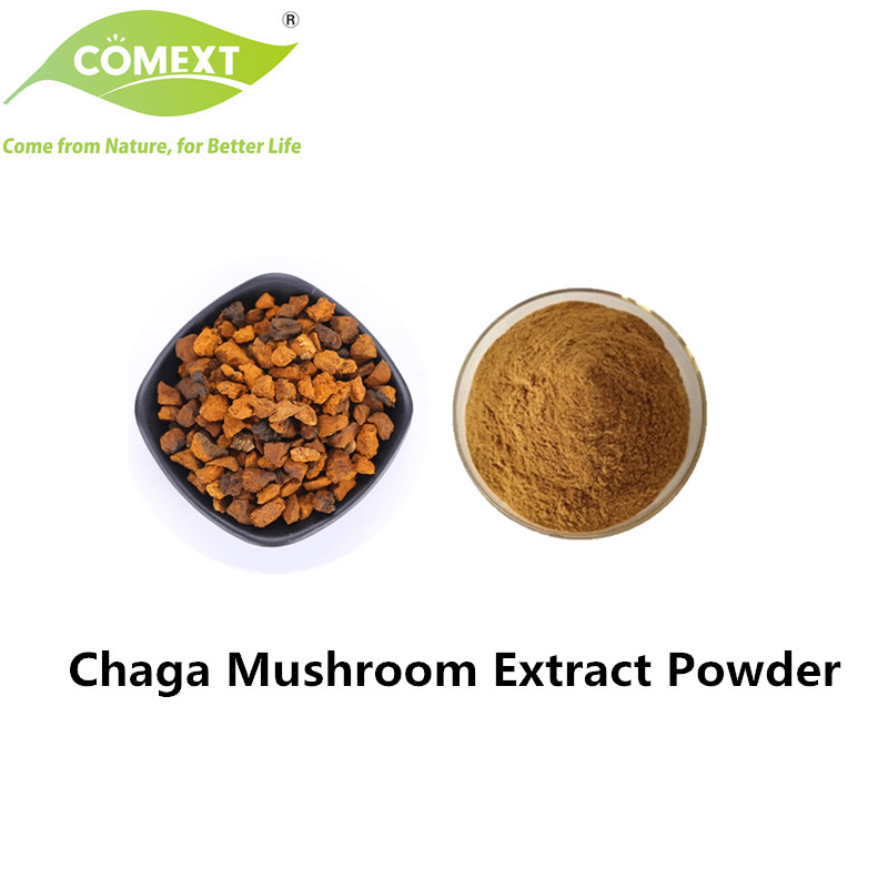Comext 100% Puro Orgánico 10: 1 Extracto en Polvo de Hongo Chaga