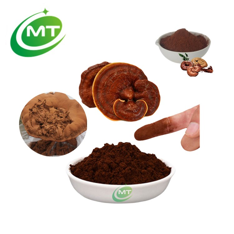 Mejor Precio Extracto Natural de Champiñón de Alta Calidad Polvo de Espora Rota de Reishi Polvo de Espora de Reishi