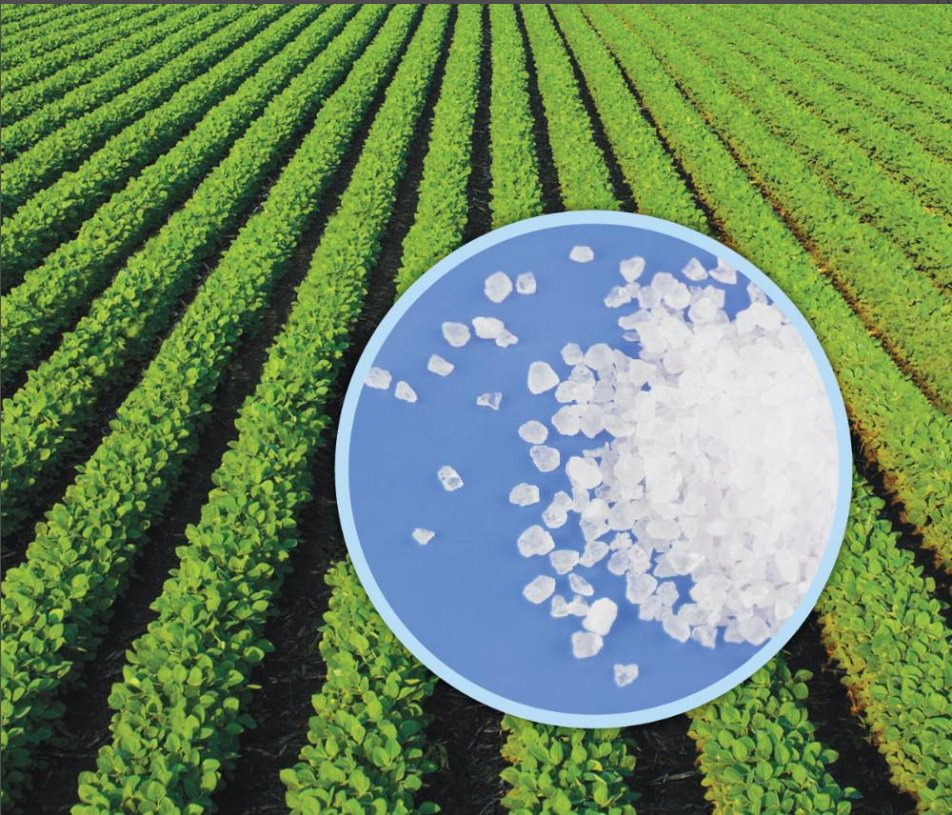 Las verduras y frutas se tratan con un polvo de resina hidrogel transparente, un polímero altamente absorbente compuesto de poliacrilato de potasio