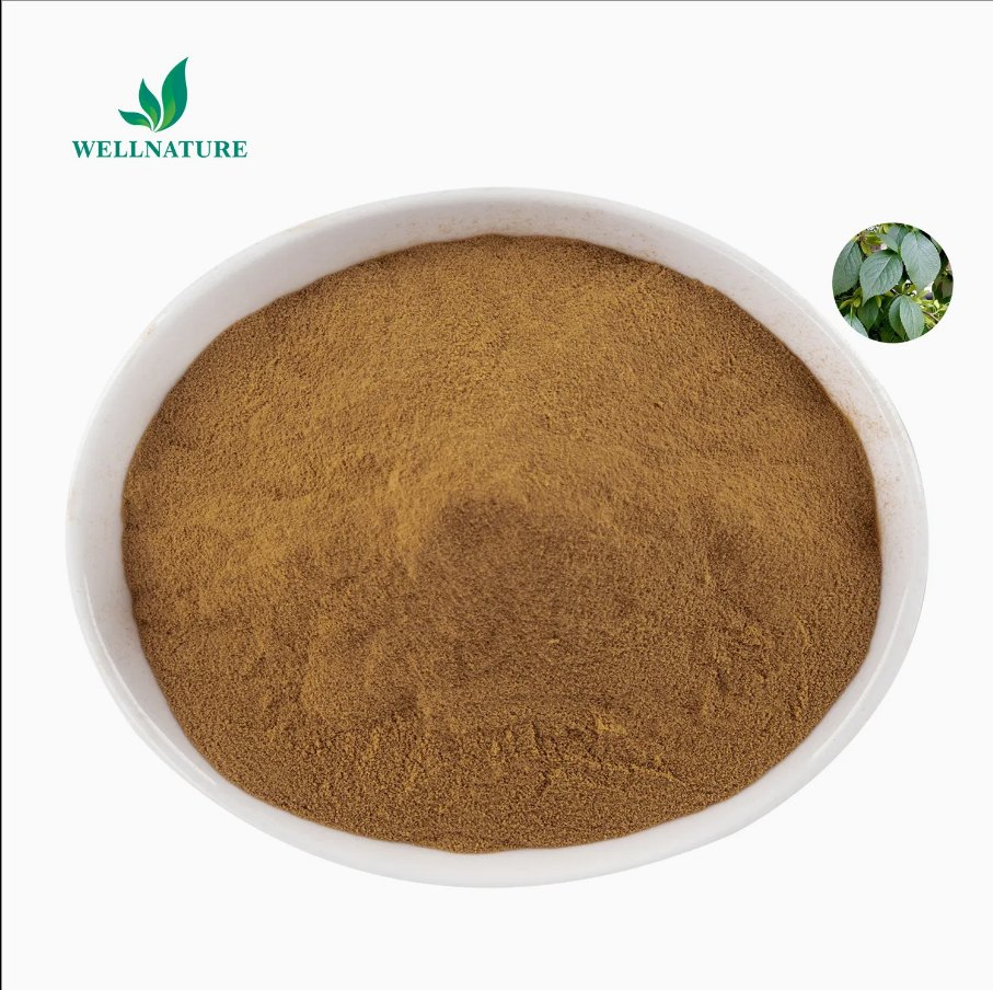 Polvo botánico estandarizado natural para la salud animal con certificado GMP, extracto de Eucommia Ulmoides