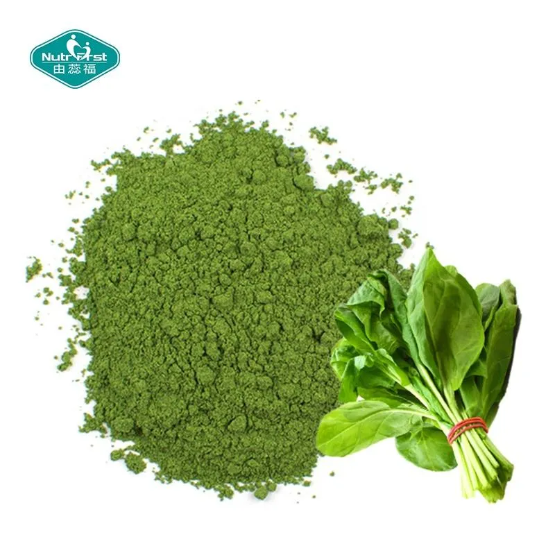 Polvo de espinaca verde deshidratada al aire caliente al por mayor de China