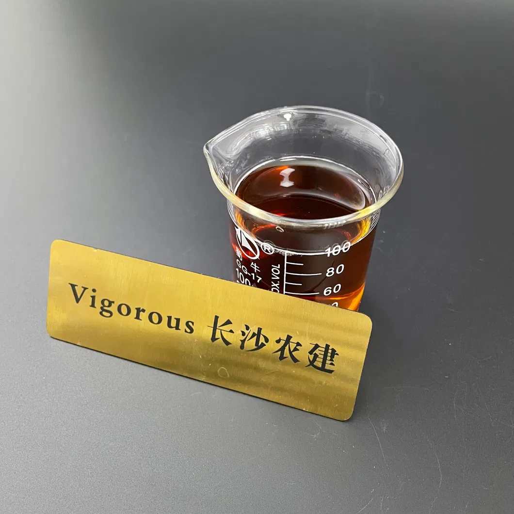 Extracto de cordyceps en polvo
