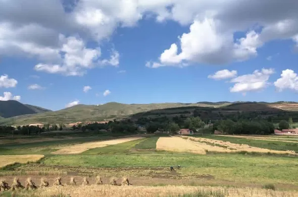 Base de siembra - Materia prima natural