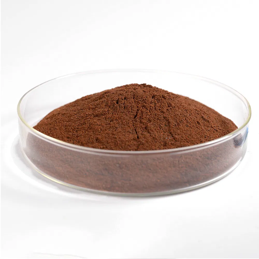 Extracto en polvo de hongo Chaga