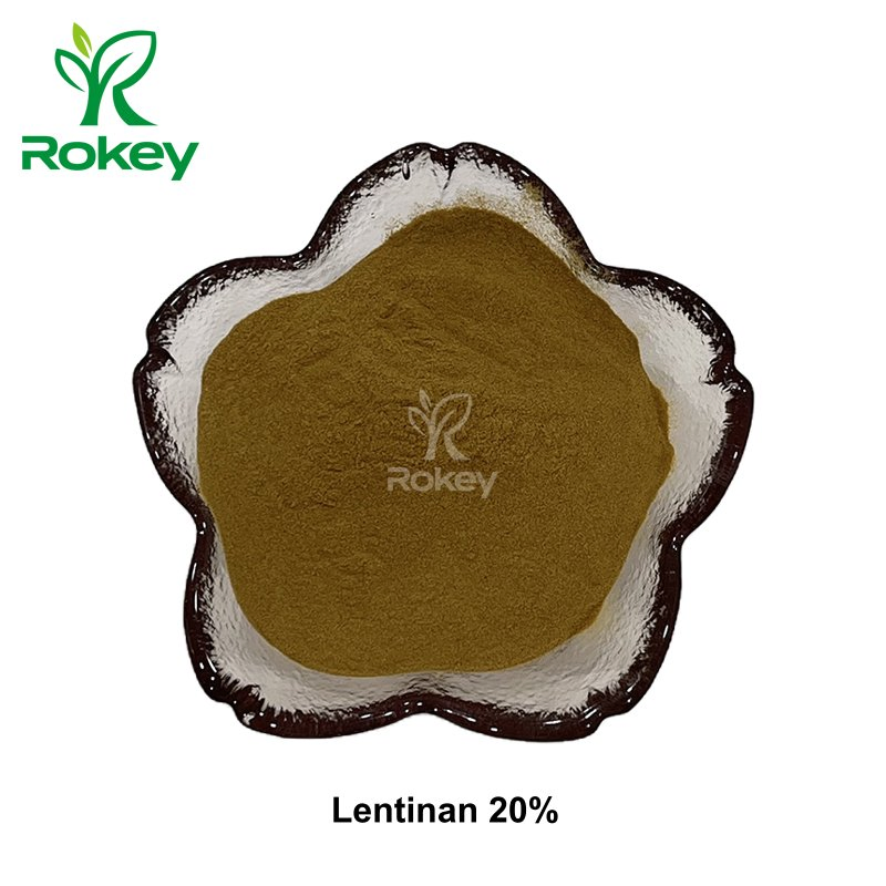 Suplemento Premium de Soporte Inmunológico Lentinano 20% en Polvo; Extracto de Champiñón Shiitake