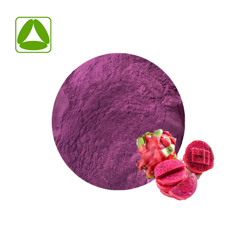 Venta caliente de polvo de fruta del dragón liofilizado puro y natural