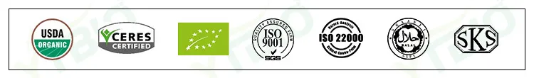 Polvo de hongo reishi de alta calidad extracto de Ganoderma lucidum para el cuidado de la salud