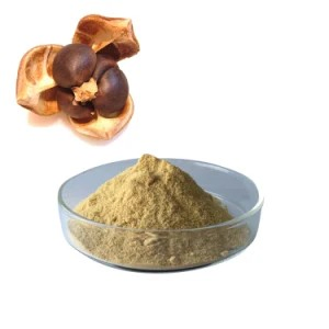Polvo de hoja de moringa orgánica personalizada de OEM, superalimento verde, polvo de semilla de té verde