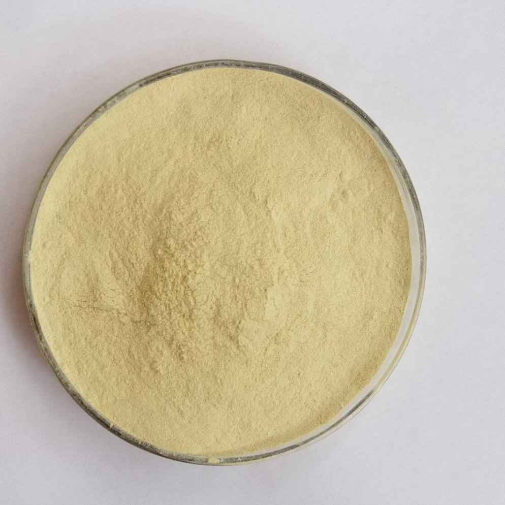 Extracto de Scutellaria Baicalensis (85% Baicalina) - Polvo Herbal Natural para Venta al por Mayor