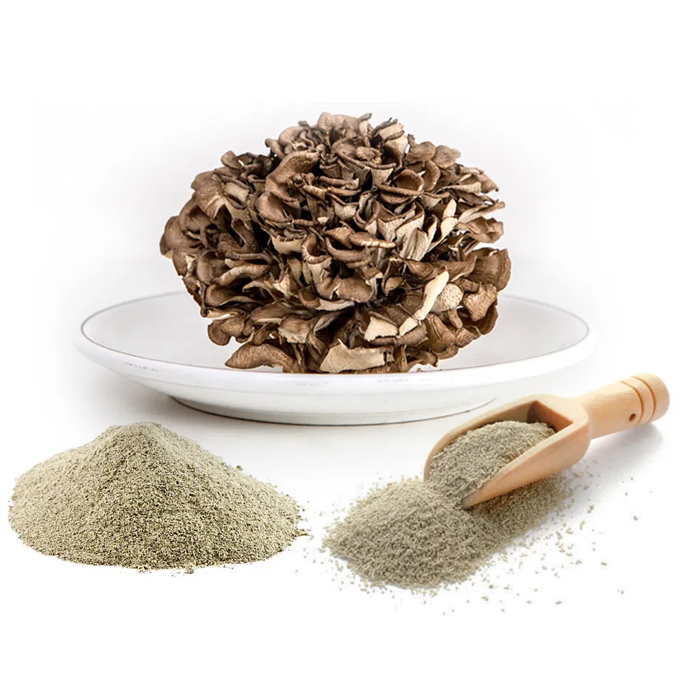 Extracto en polvo de champiñón Maitake de alta pureza certificado orgánico