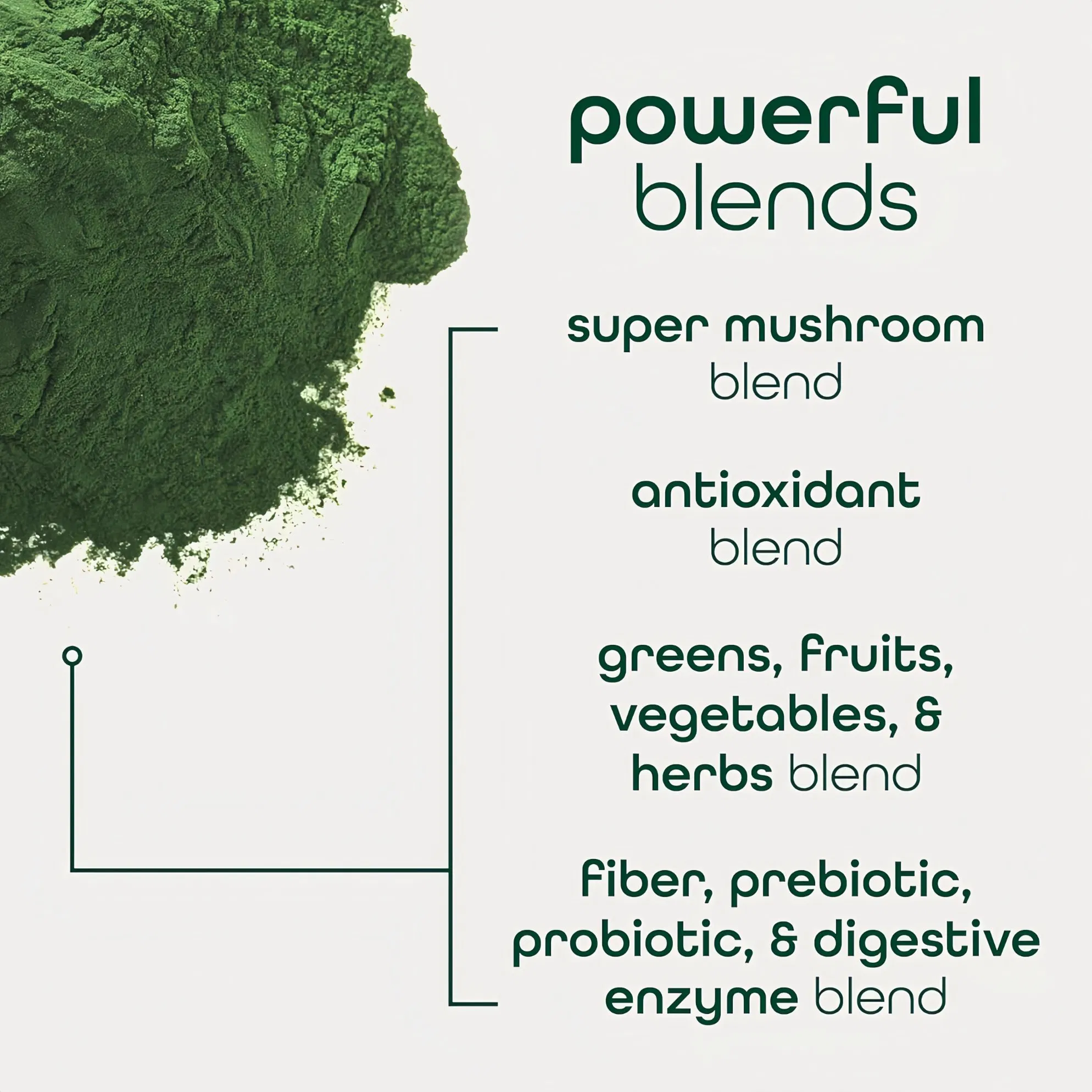 Mezcla de Verduras Orgánicas de Marca Privada en Polvo Superalimento Verde