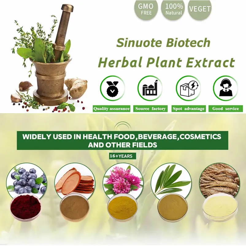Extracto de hongo shitake natural en polvo de polisacáridos soluble en agua 100%