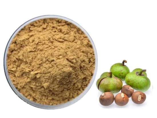 Polvo de hoja de moringa orgánica personalizada de OEM, superalimento verde, polvo de semilla de té verde
