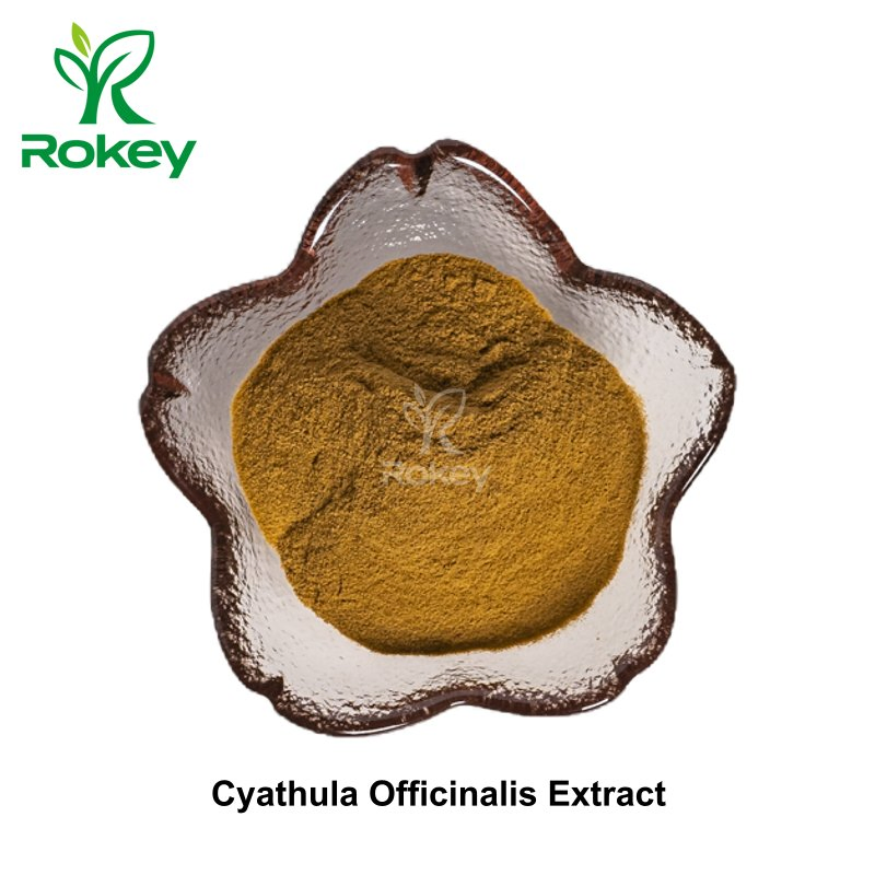 Extracto Herbal Premium para Bienestar y Vitalidad Extracto en Polvo de Cyathula Officinalis