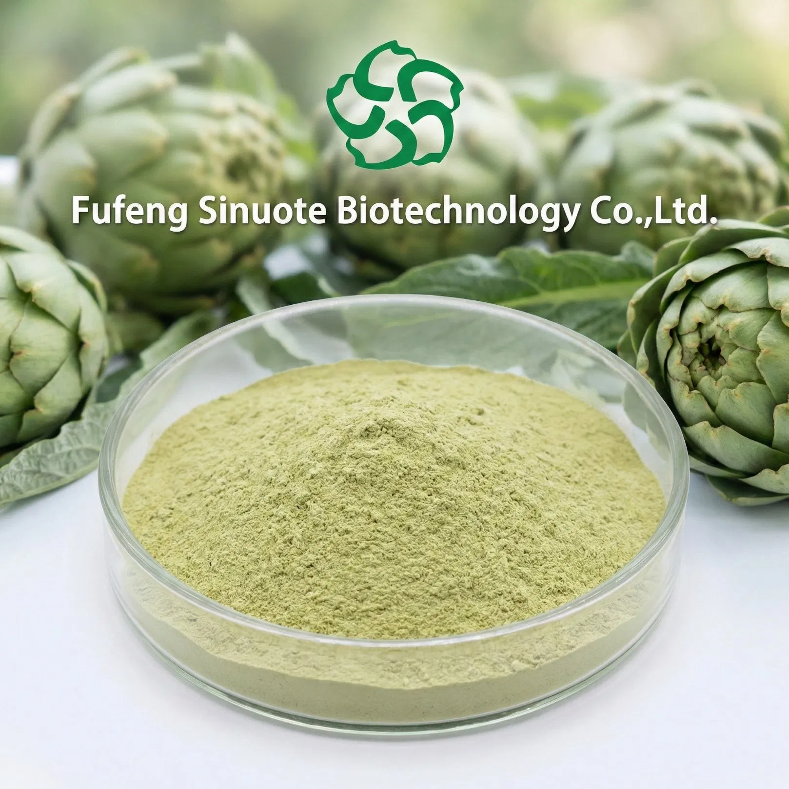Extracto en polvo de Cynara Scolymus Extracto de hoja de alcachofa (estandarizado en cinarina) polvo fino verde pálido estándar cGMP
