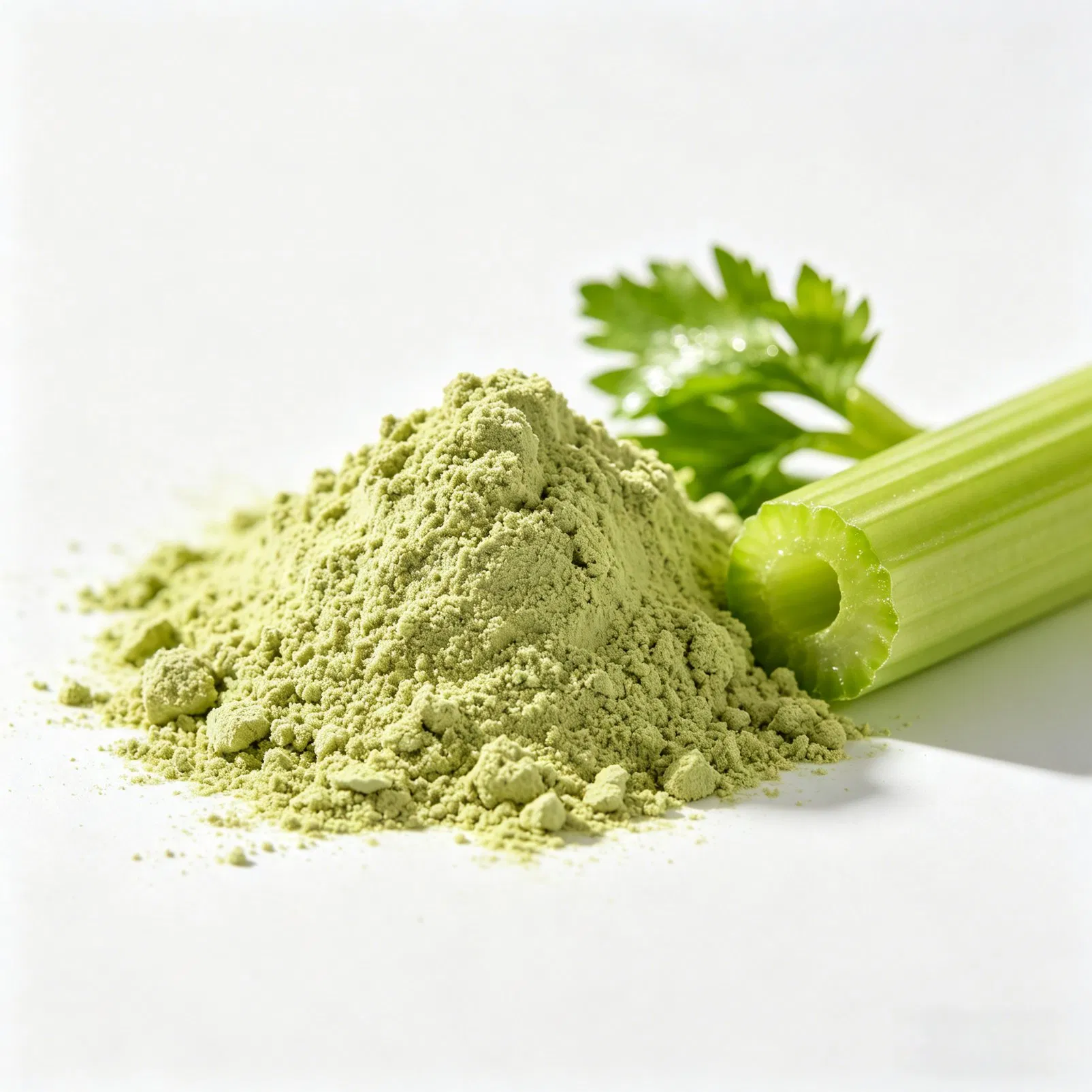 Extracto de hojas secas de verduras frescas, polvo de apio verde de China