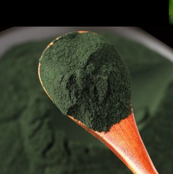 Extracto de hoja de morera de grado médico soluble en agua, polvo de clorofilina de sodio y cobre