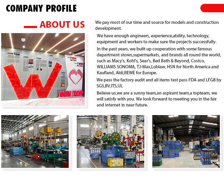 Company Introduction