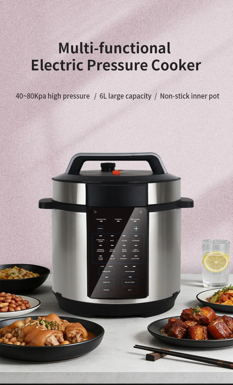 Multi Electric Cooker Panel Features
