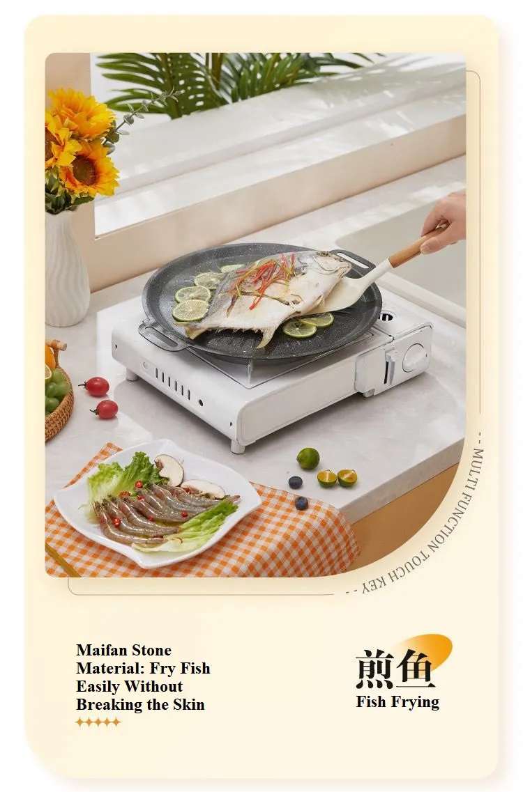 Grill Pan 16
