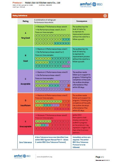 BSCI Audit Report Page 2