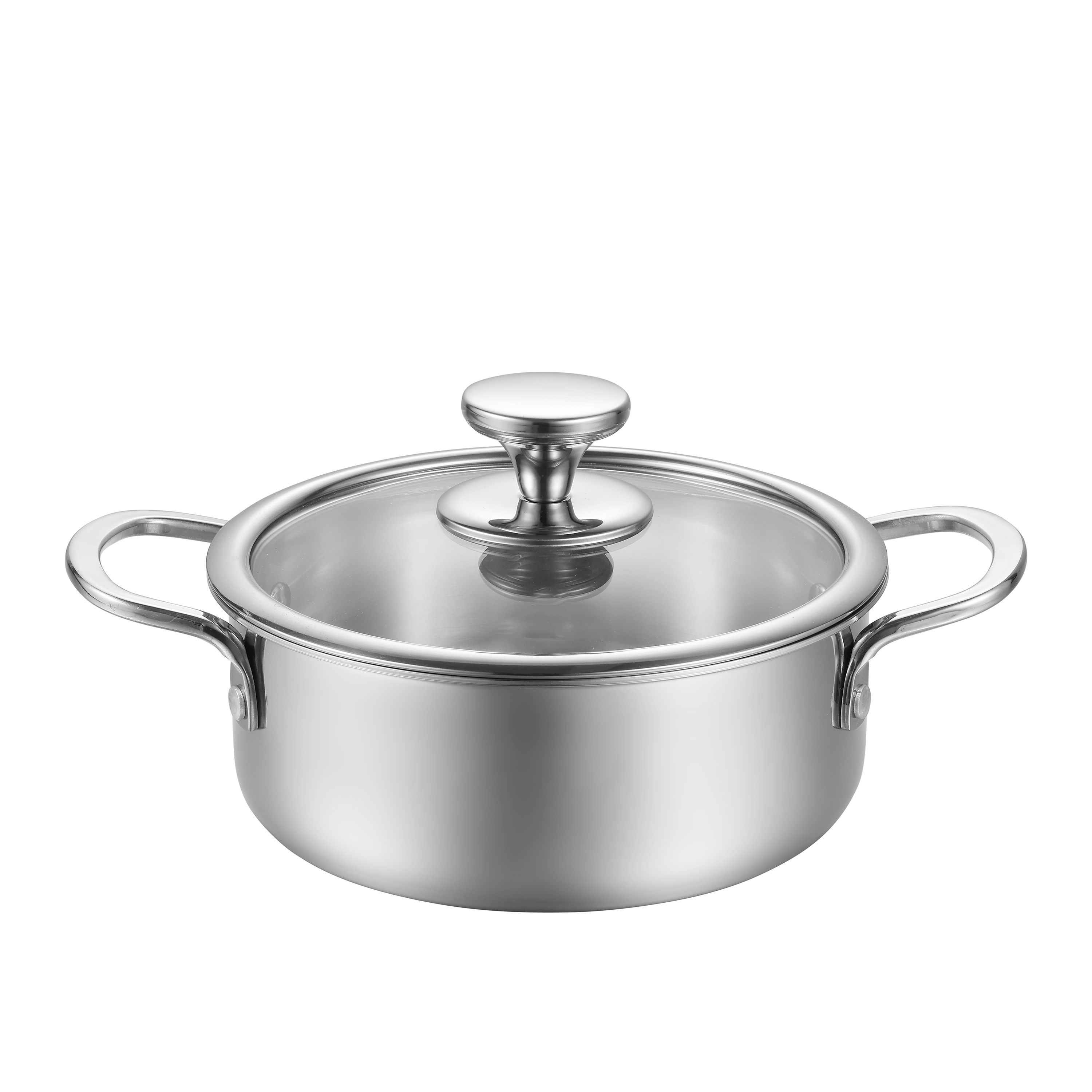 Stainless Steel Pot 4