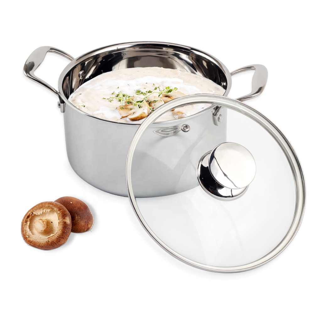 Induction-Ready Small Dutch Oven Pot, Tri-Ply Stainless Steel Stock Pot with Visible Lid
