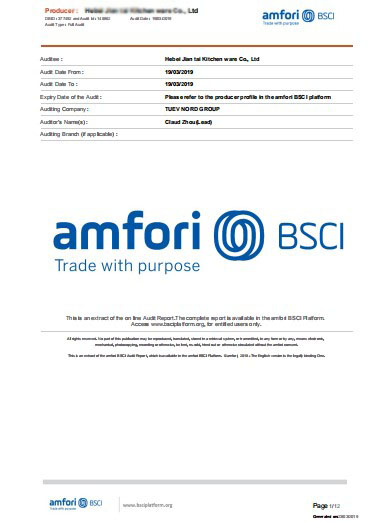 BSCI Audit Report Page 1