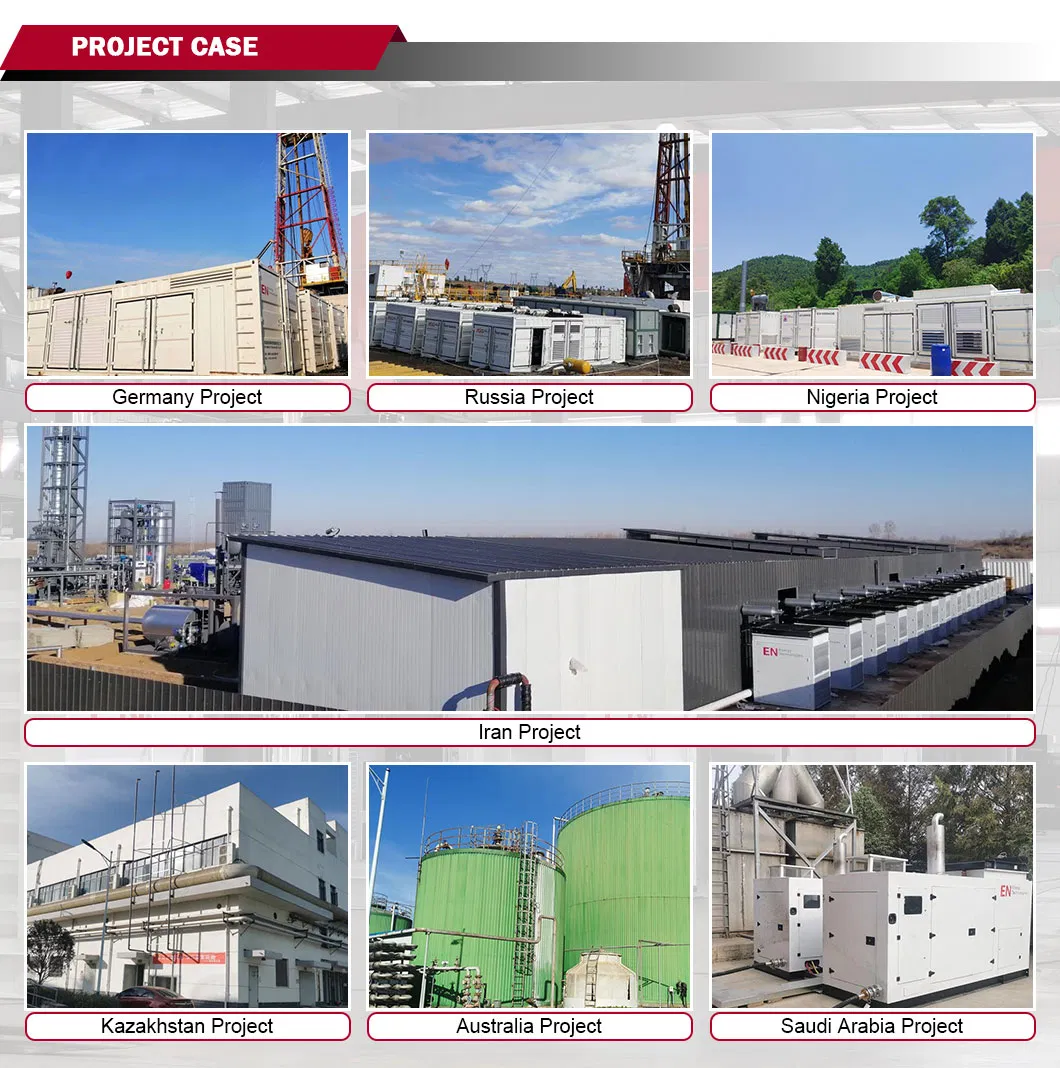 1250kw مجموعة مولدات الغاز الحيوي الطبيعي من الكتلة الحيوية/الغاز المسال/البروبان/الميثان/الهيدروجين عالية الطاقة مزدوجة الوقود للصرف الصحي وفحم الكوك لحقول النفط ومحطات الطاقة