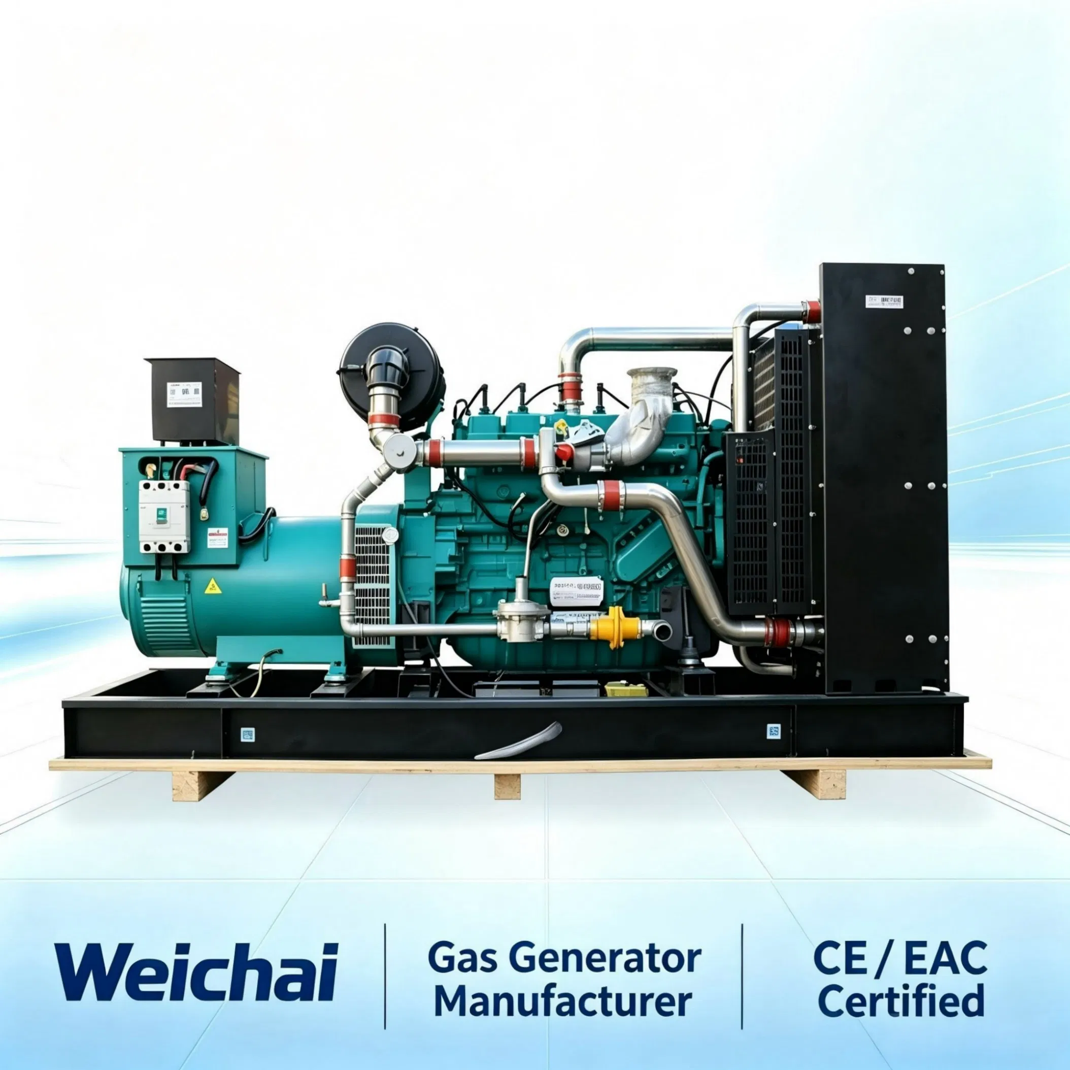 250kw مجموعة مولد الغاز الطبيعي من ويشاي لإنتاج الطاقة