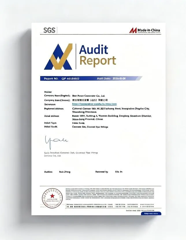 SGS Factory Audit Report Certificate