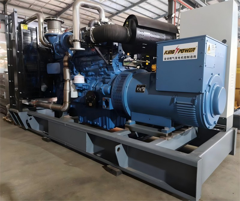 500kw 600kw 700kw 800kw أداء مستقر غاز طبيعي غاز مضغوط غاز طبيعي مسال مجموعة مولدات الطاقة الكهربائية