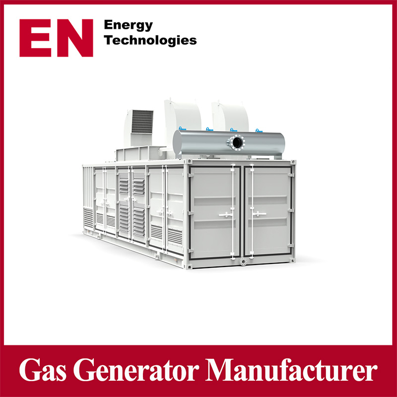 250kw مجموعة مولدات الغاز عالية القدرة من البيوجاز الطبيعي والكتلة الحيوية وغاز البترول المسال/البروبان والميثان والهيدروجين للعقارات