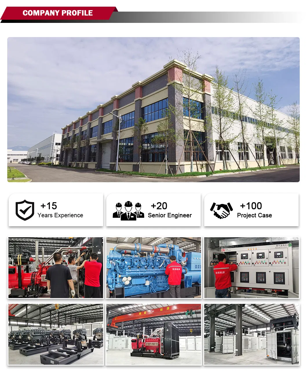 250kw مجموعة مولدات الغاز عالية القدرة من البيوجاز الطبيعي والكتلة الحيوية وغاز البترول المسال/البروبان والميثان والهيدروجين للعقارات