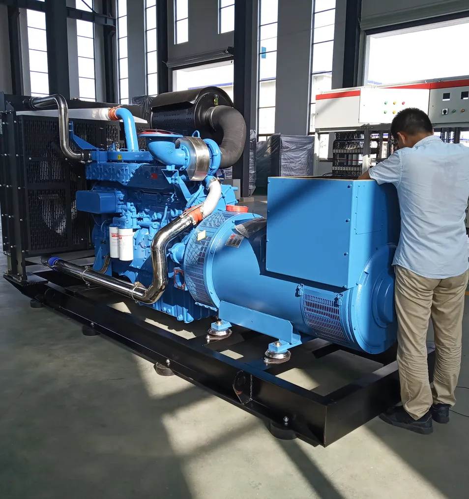 مجموعة مولدات الغاز الطبيعي المثبتة على هيكل متحرك 250kw لتوفير الطاقة المستمرة