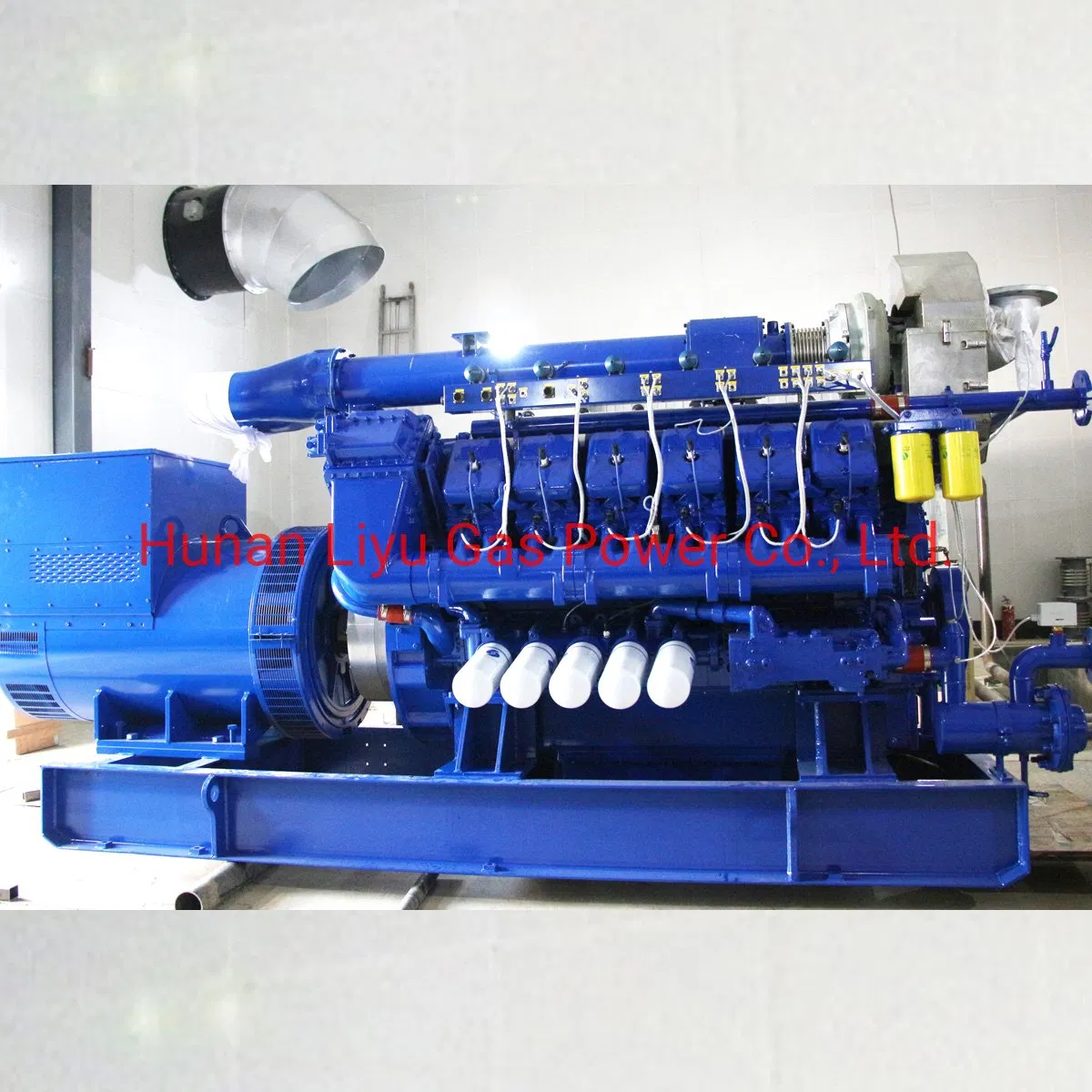 1MW-1.5MW مجموعة مولدات الغاز الحيوي مع محرك ليو/وام/مان