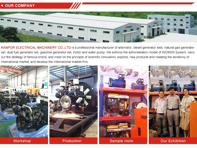 مجموعة مولدات الطاقة المزدوجة 1000kw 1250kVA 1MW