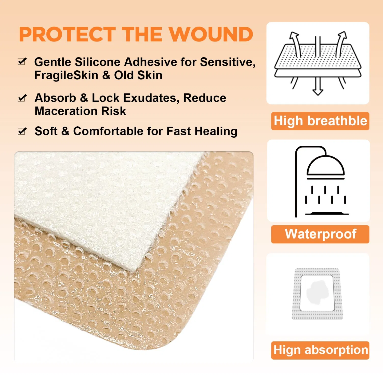 Product View 5