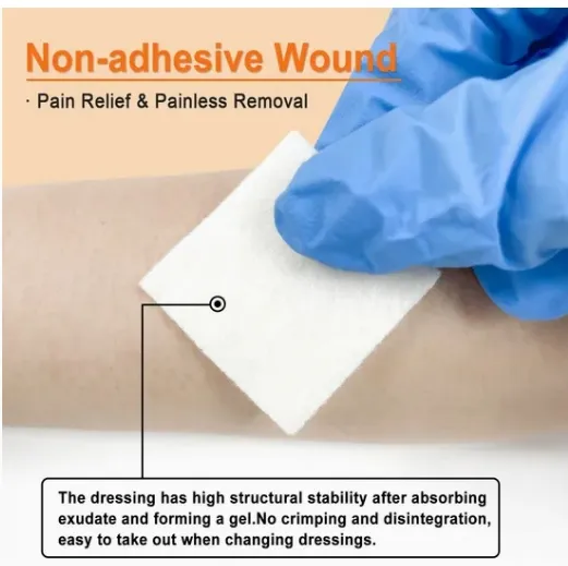 استخدام الملابس Alginate