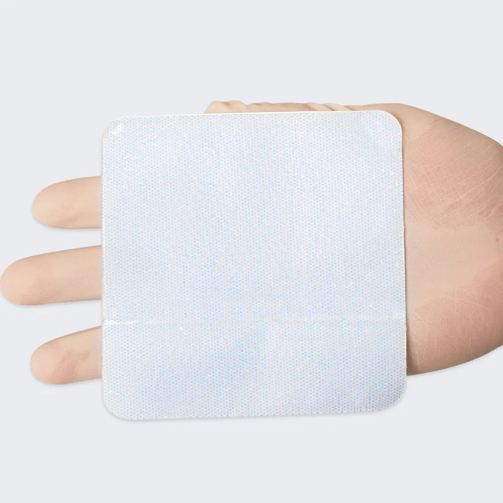 Hydrogel dressing 1