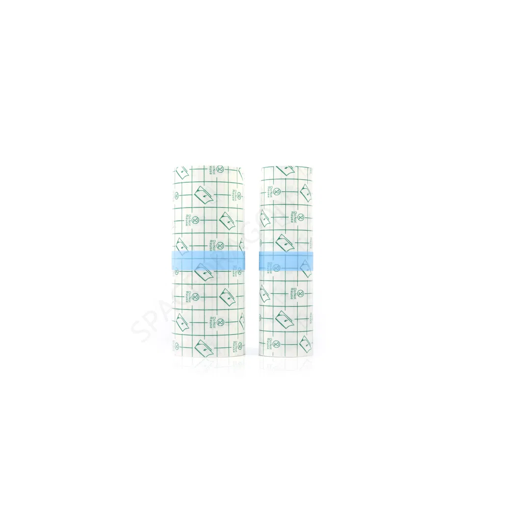 Tattoo Bandage 12
