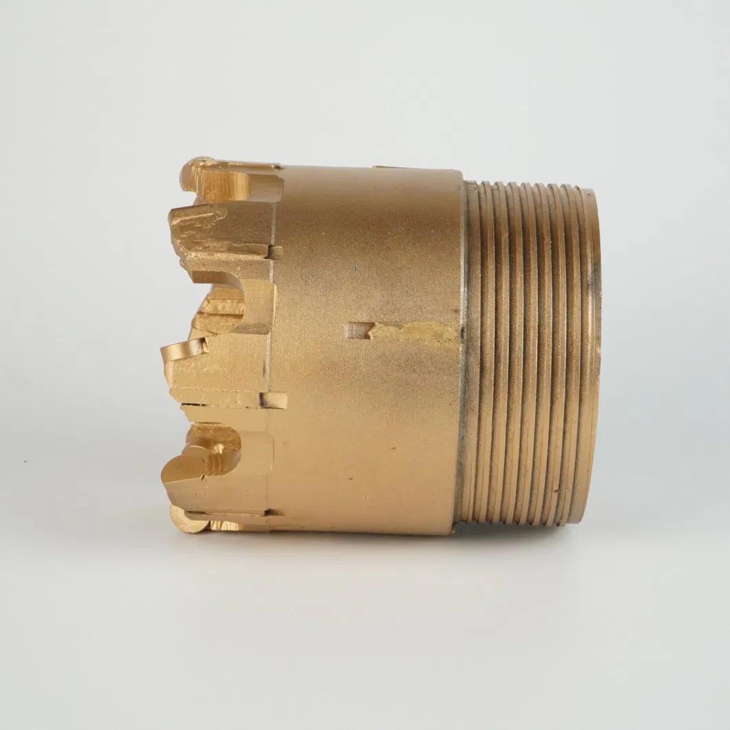 PDC Bit Detail 10