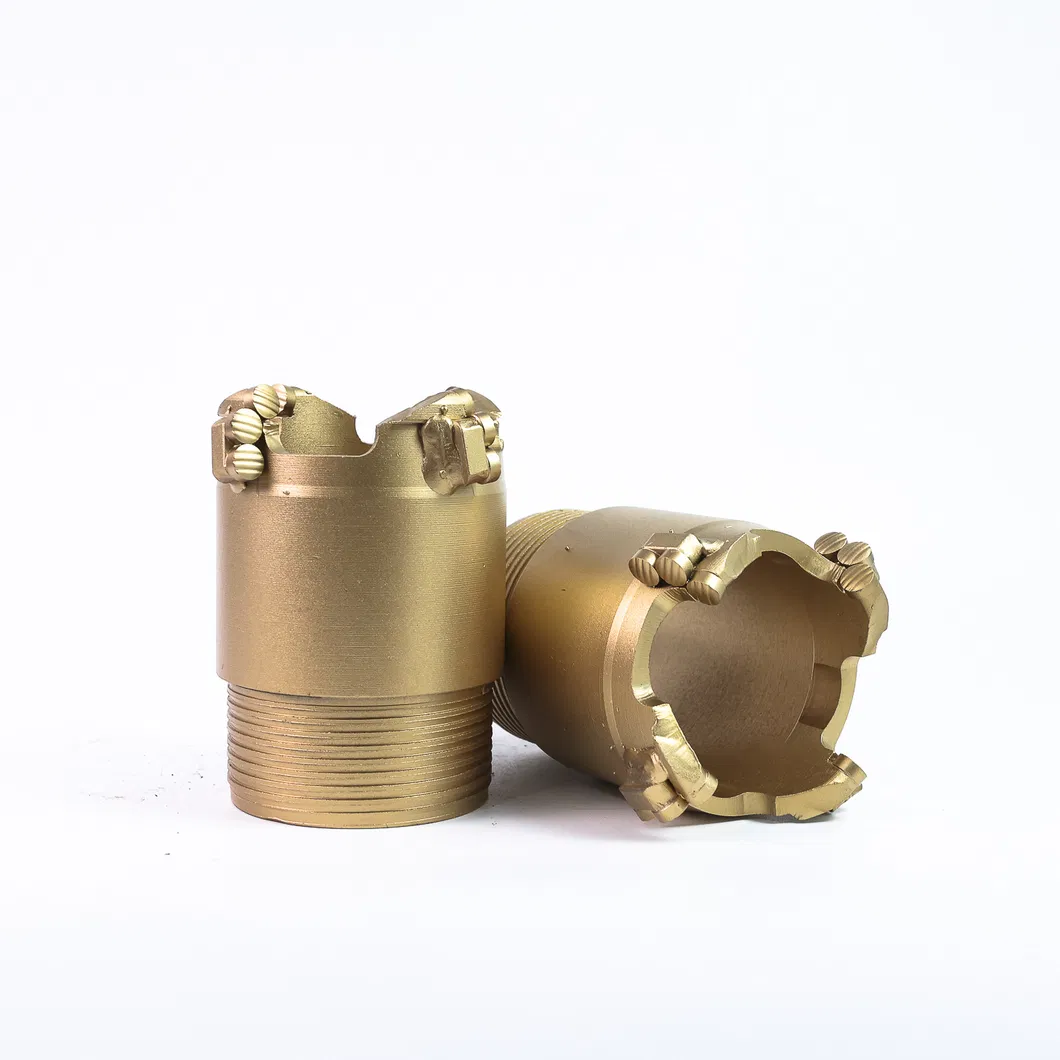 PDC Bit Detail 13