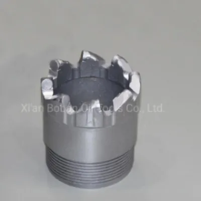 PDC Drill Bit Detail 1