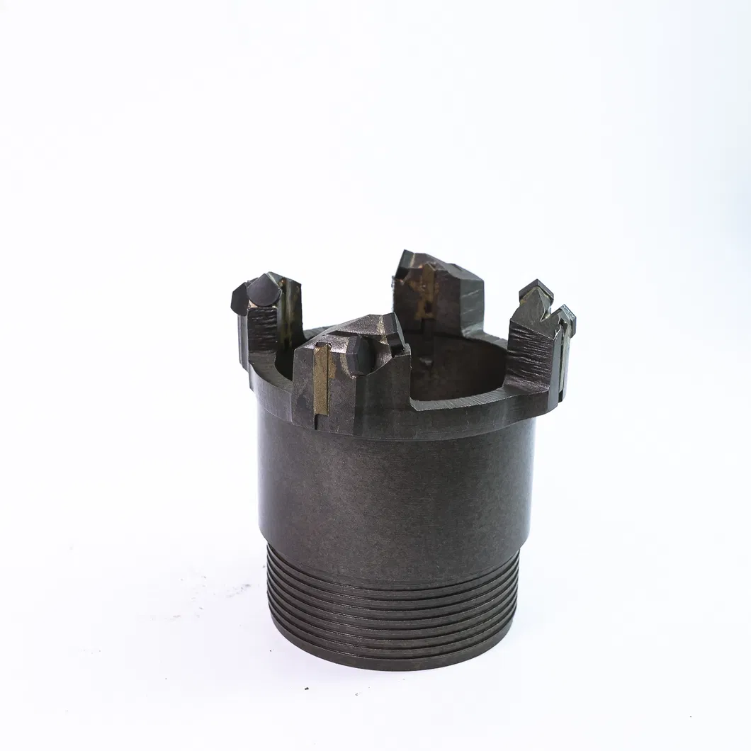 PDC Bit Detail 11