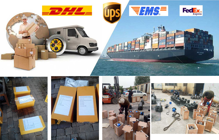 Packaging and Logistics